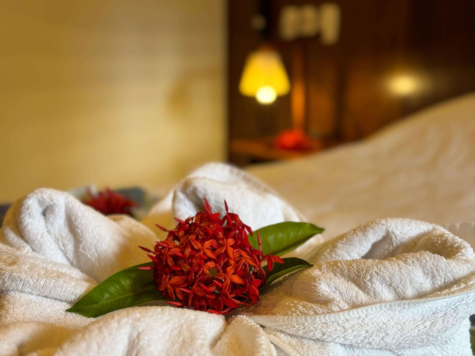 Quarto Simples Hotel Fazenda Colibri